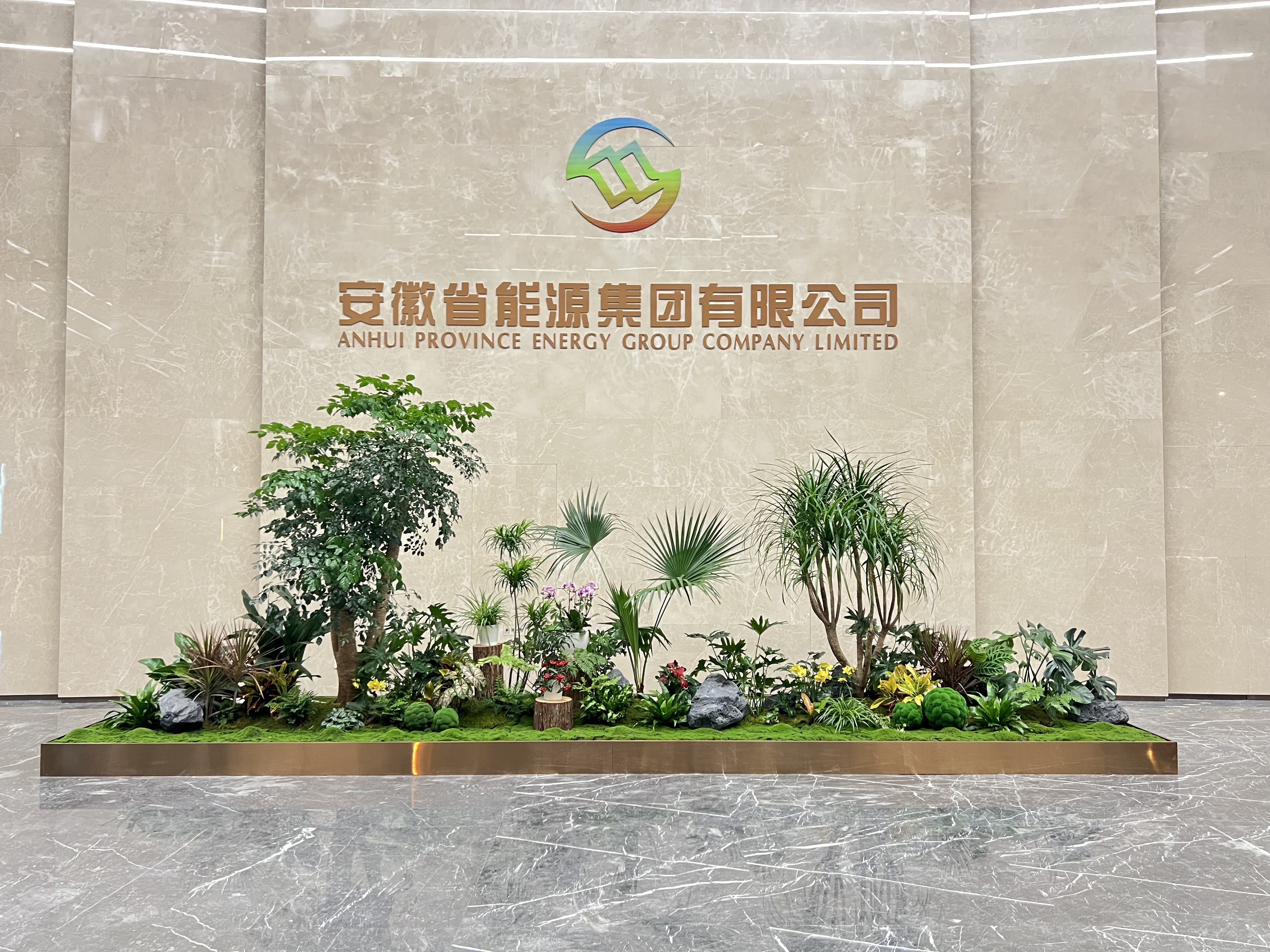 余姚植物租摆价格曝光，别错过这篇！